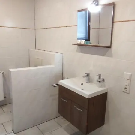 Gemuetliche Wohnung Mit Kueche Und Netflix Klingenthal Exterior photo