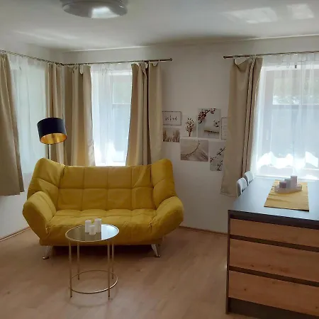 Gemuetliche Wohnung Mit Kueche Und Netflix Klingenthal Exterior photo